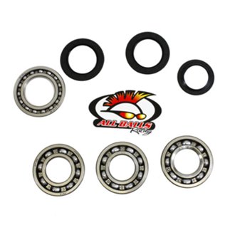 Crankshaft Bearing And Seal Kit