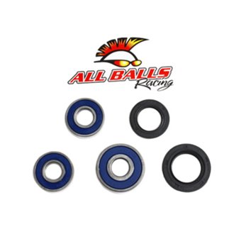 Wheel Bearing Kit Rear