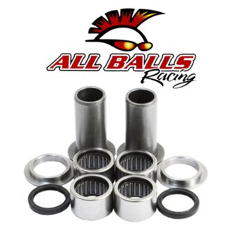 Swing Arm Bearing Kit