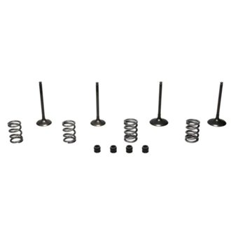 STEEL VALVE SET RM-Z450 '05-06