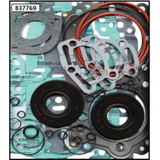 Complete Gasket Kit Withoil Seals