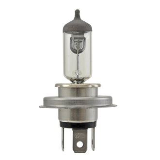Multi-Purpose Light Bulb