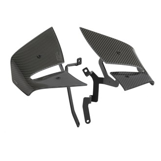 Spoilers D12 Carbon look