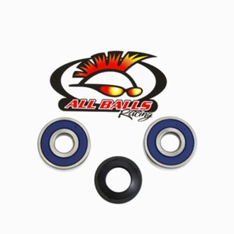 Wheel Bearing Kit Rear