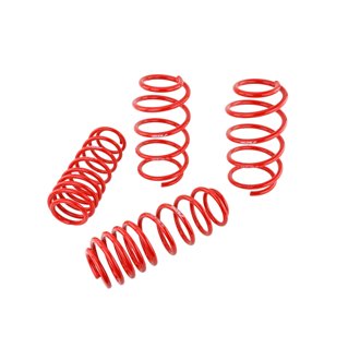 Skunk2 07-12 Honda Civic Type-R (FN2) Lowering Springs (Set of 4)