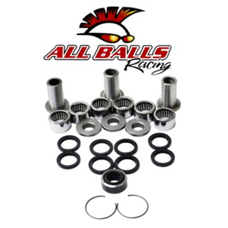 Swing Arm Linkage Bearing Kit