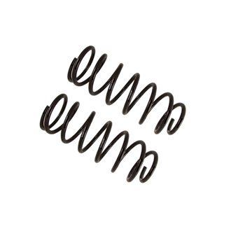 B12 (Special) - Coil Spring Set