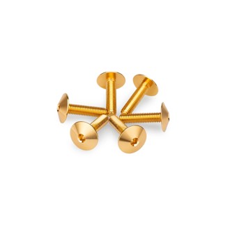 Screw Kit Anodized For Screens Gold