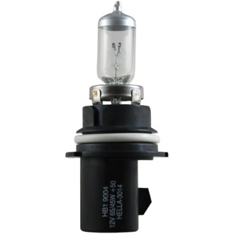 Multi-Purpose Light Bulb