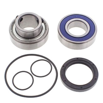 Snowmobile Chain Case Bearing & Seal Kit