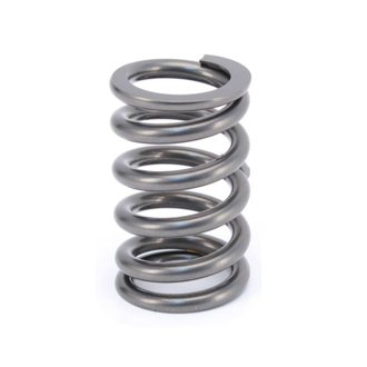 Valve Spring 1.320in O.D. Sing