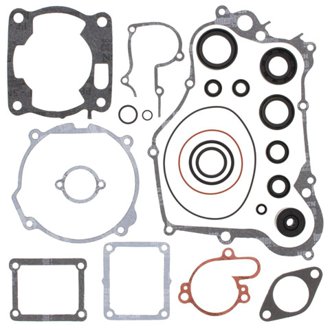 Complete Gasket Kit Withoil Seals