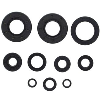 Engine Oil Seal Kit