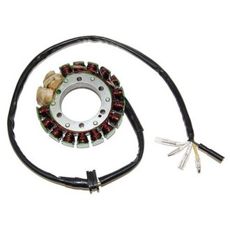 Electrosport Stator Honda XR600R - High Power (2X100W )