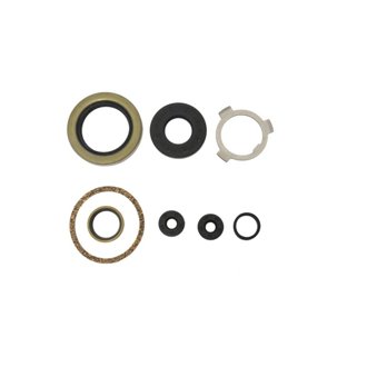Harley-Davidson 74in & 80 Engine Oil Seal Kit