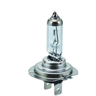 Multi-Purpose Light Bulb