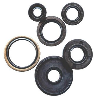 Engine Oil Seal Kit