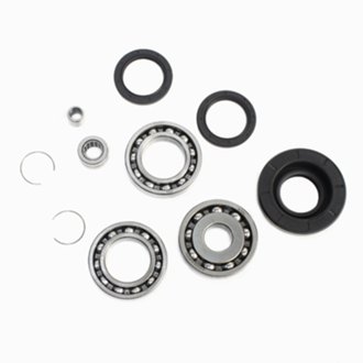Differential Bearing Kit