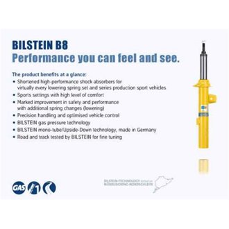B8 5100 - Suspension Shock Absorber