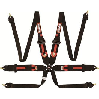 FIA 6 Point Camlock Harness Set