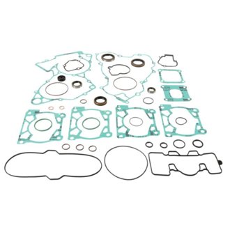 Complete Gasket Kit Withoil Seals