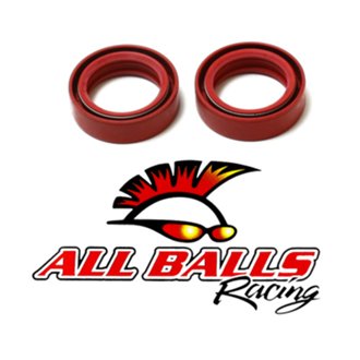 Fork Seal Kit