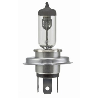 Multi-Purpose Light Bulb