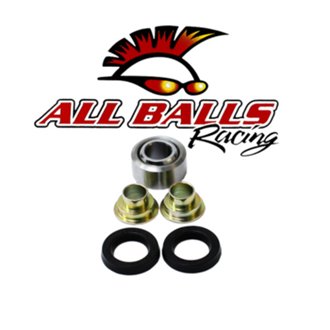 Rear Shock Bearing Kit