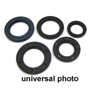 Engine Oil Seal Kit