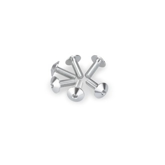 Screw Kit Anodized For Screens Silver