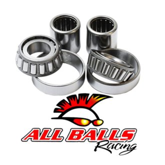 Swing Arm Bearing Kit