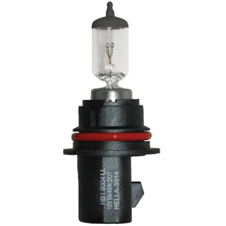 Multi-Purpose Light Bulb