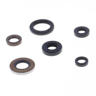 99-04 Honda TRX 400 EX 4X4 Engine Oil Seal Kit