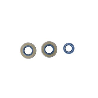 Francomorini 2T M03/M04 48 Engine Oil Seal Kit