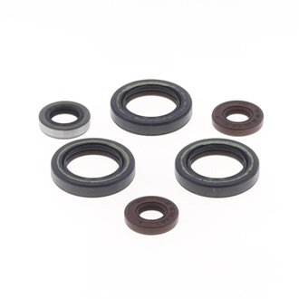 18-19 Sherco SE-R 125 Engine Oil Seal Kit