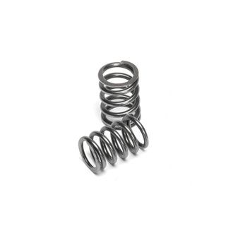 Toyota 4AGE 20V / VW 1.8T AEB / 2.7T APB 5V Intake Valve Spring (Drop Ship Only