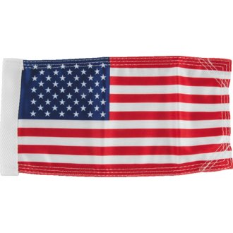 American Flag 4in X 9in