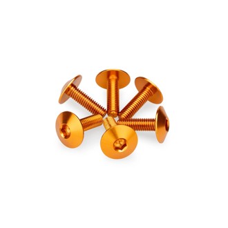 Screw Kit Anodized For Screens Orange