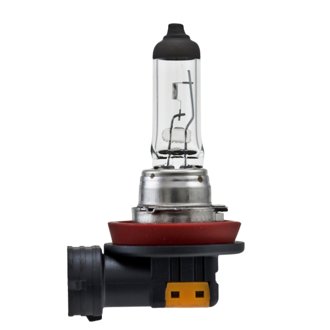 Multi-Purpose Light Bulb