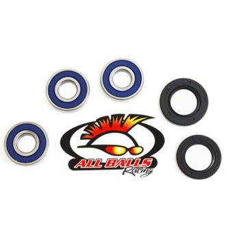 Wheel Bearing Kit Rear