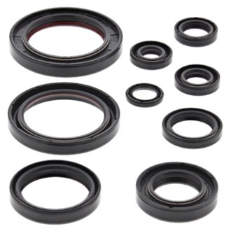 Engine Oil Seal Kit