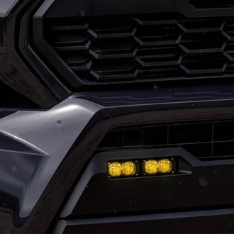 Photo - Close Up