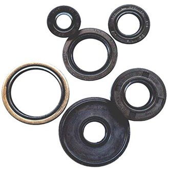 Engine Oil Seal Kit