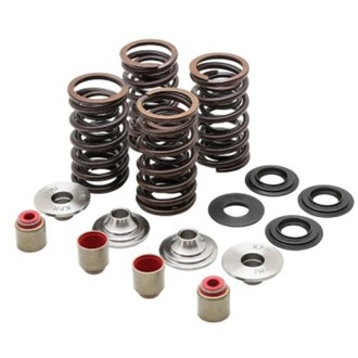 Kpmi Racing Spring Kit, Titanium, 0.450" Lift