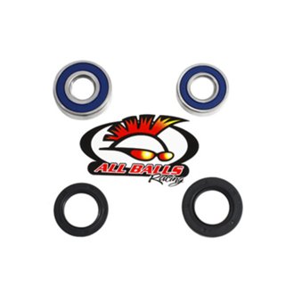 Wheel Bearing Kit Rear