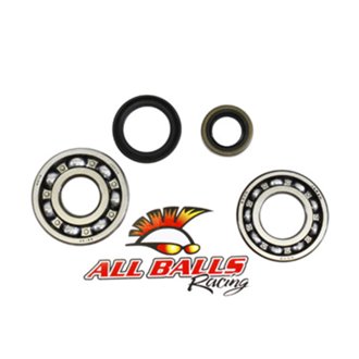 Crankshaft Bearing Kit