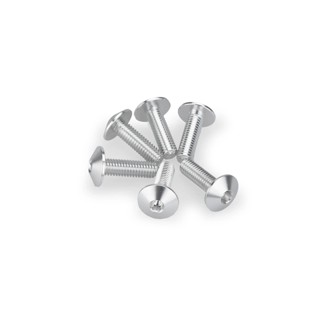 Screw Kit Anodized For Screens Silver