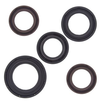 Engine Oil Seal Kit