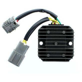 Electrosport REGULATOR-ARCTIC Cat