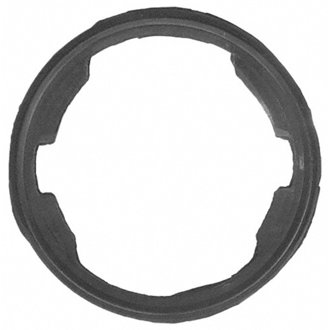 Engine Coolant Thermostat Seal